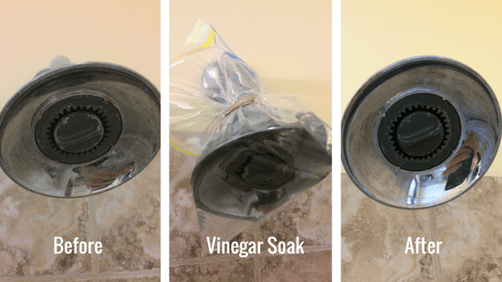 Cleaning Hack for the shower head