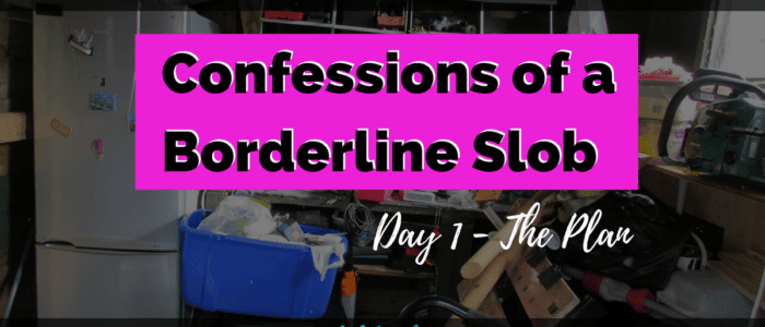 Confessions of a Borderline Slob